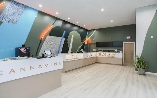 Cannavine dispensary interior with modern counter and colorful wall mural